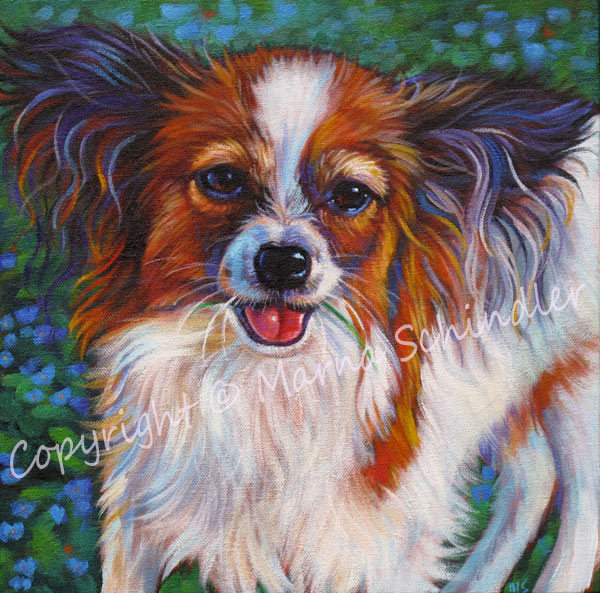 Papilon painting of Analaa from San Diego, CA by Marna Schindler