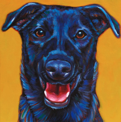 pet portrait of Beau, dapper dog living in San Diego, CA