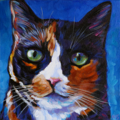Callie pet portrait calico cat