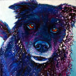 Clyde Pet Portrait Memorial