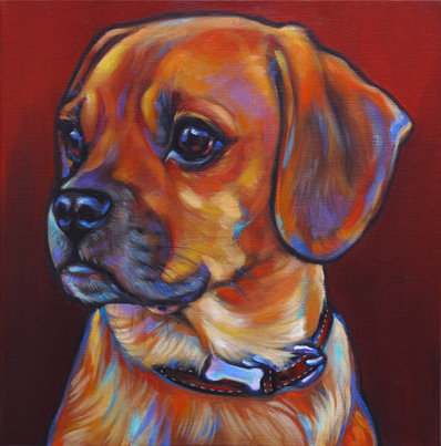 Hunter, the Charismatic Tennessee Puggle!