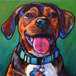 Pet portrait of Max from Ponte Vedra Beach, Florida by Marna Schindler