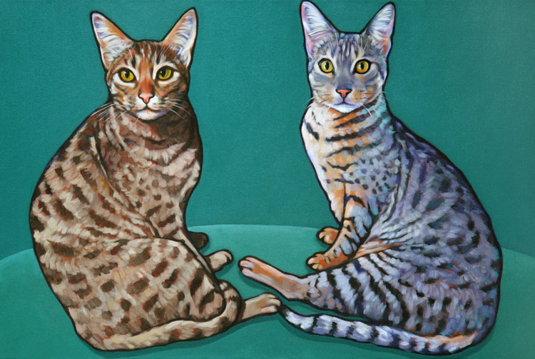 Pet Portrait of Amazing Occicats living in Rancho Santa Fe, by Marna Schindler
