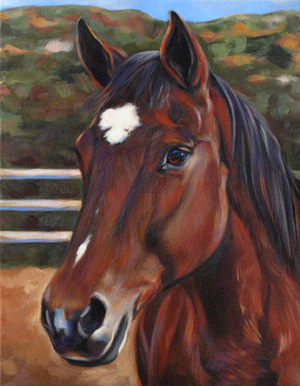 Partner Horse Portrait