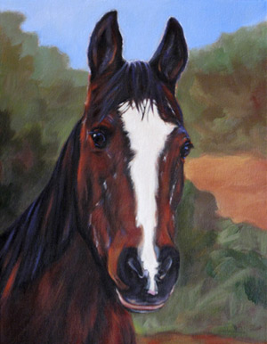 Tenney Horse Portrait