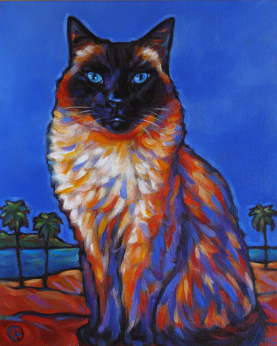 cat pet portrait of Thumper, from San Diego, CA