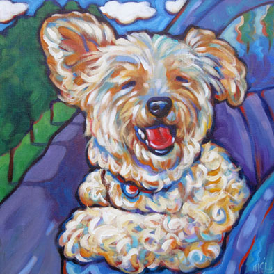 Caspi dog portrait San Diego