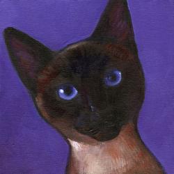 Little Blue Eyes cat portrait, inspired by Natasha kitty in san Diego, CA