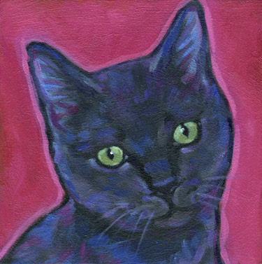 Seal cat portrait